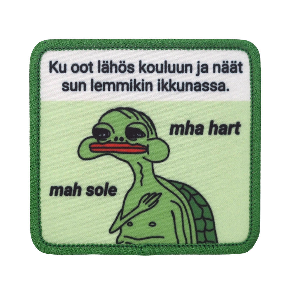Painettu lemmikkiaiheinen haalarimerkki, kilpikonna.