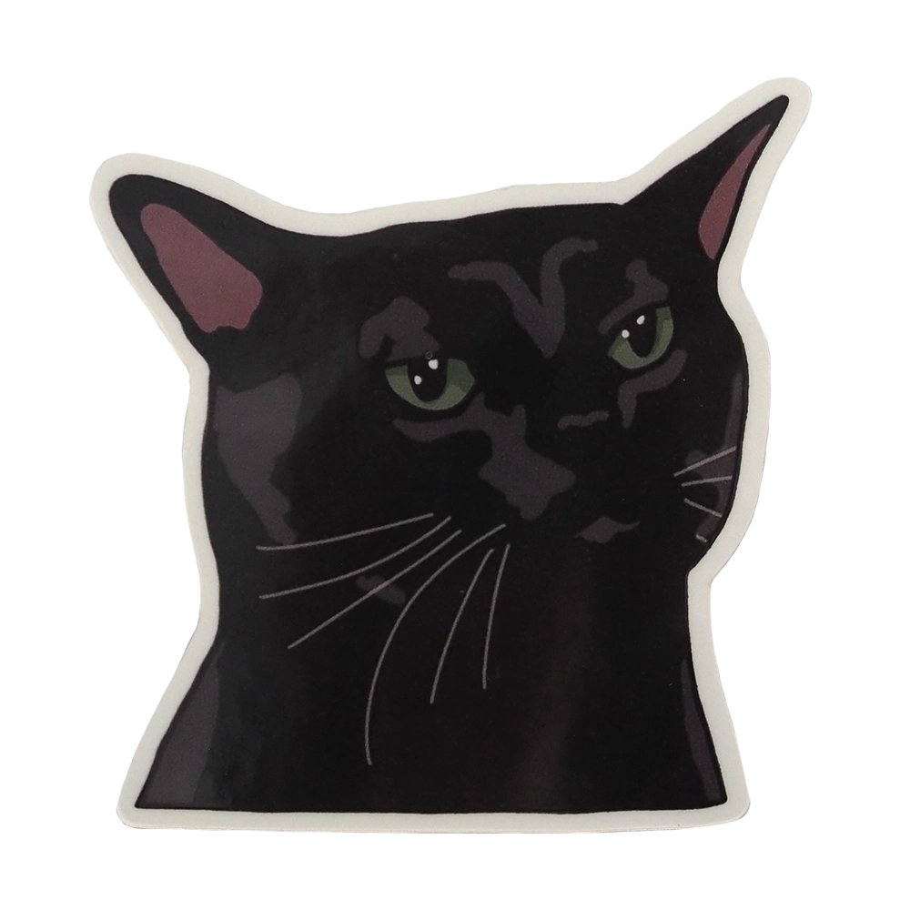 Black cat zoning - tarra